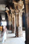 India del sud 2008 617.jpg (2390034 byte)