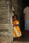 India del sud 2008 666.jpg (2372567 byte)