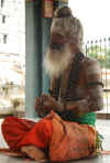 India del sud 2008 672.jpg (1995310 byte)