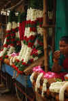 India del sud 2008 683.jpg (2206696 byte)