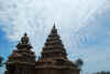 India del sud 2008 713.jpg (1287830 byte)