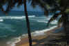 India del sud 2008 746.jpg (1444405 byte)