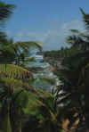 India del sud 2008 747.jpg (1249932 byte)