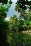 India del sud 2008 800.jpg (2533469 byte)