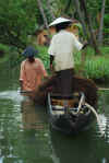 India del sud 2008 828.jpg (3519344 byte)