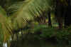 India del sud 2008 831.jpg (4251058 byte)