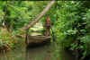 India del sud 2008 836.jpg (2763944 byte)