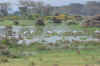 Kenya 2012 026.jpg (4878834 byte)
