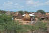 Kenya 2012 501.jpg (2774237 byte)