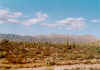Baja California 2003.jpg (55048 byte)