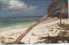 Antigua_Annaediego_spiaggia2.jpg (65229 byte)