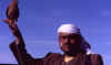 1 qat e falcone.jpg (122014 byte)