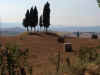 foto11.JPG (136301 byte)