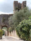 foto2.JPG (180895 byte)