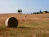 foto9.JPG (137889 byte)