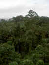 PICT8073.jpg (161260 byte)