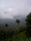 PICT8117.jpg (93856 byte)
